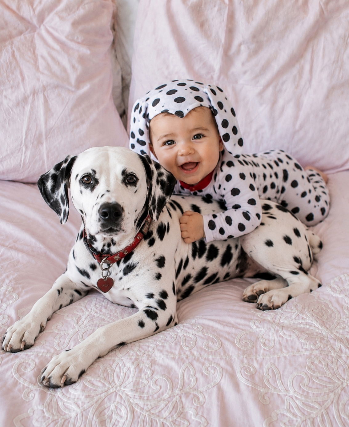 Dalmatian Costume
