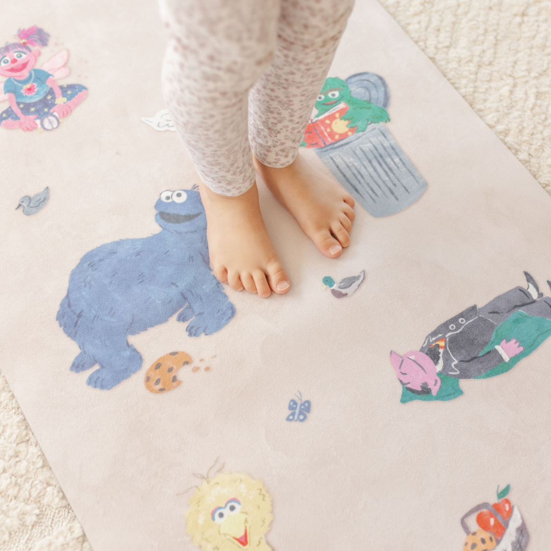 Sesame Street Adventure Bundle
