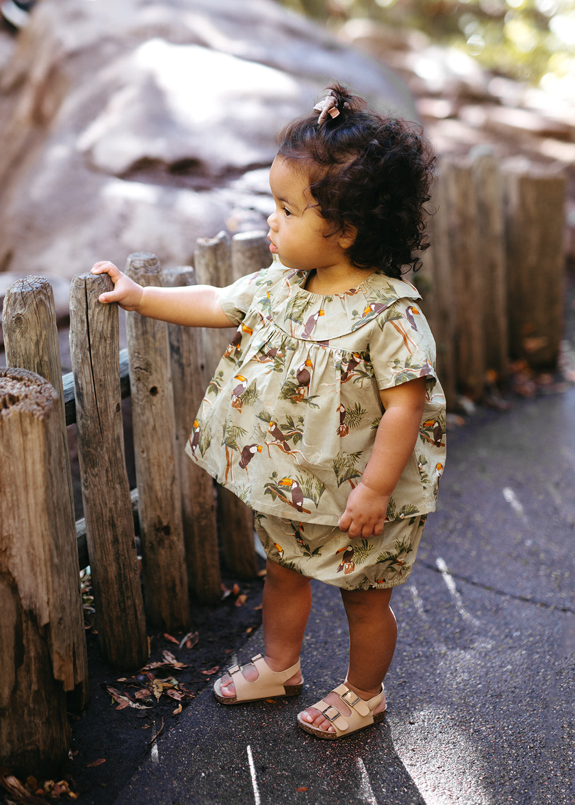 Toucan Butterfly Ruffle Dress & Bloomers Set