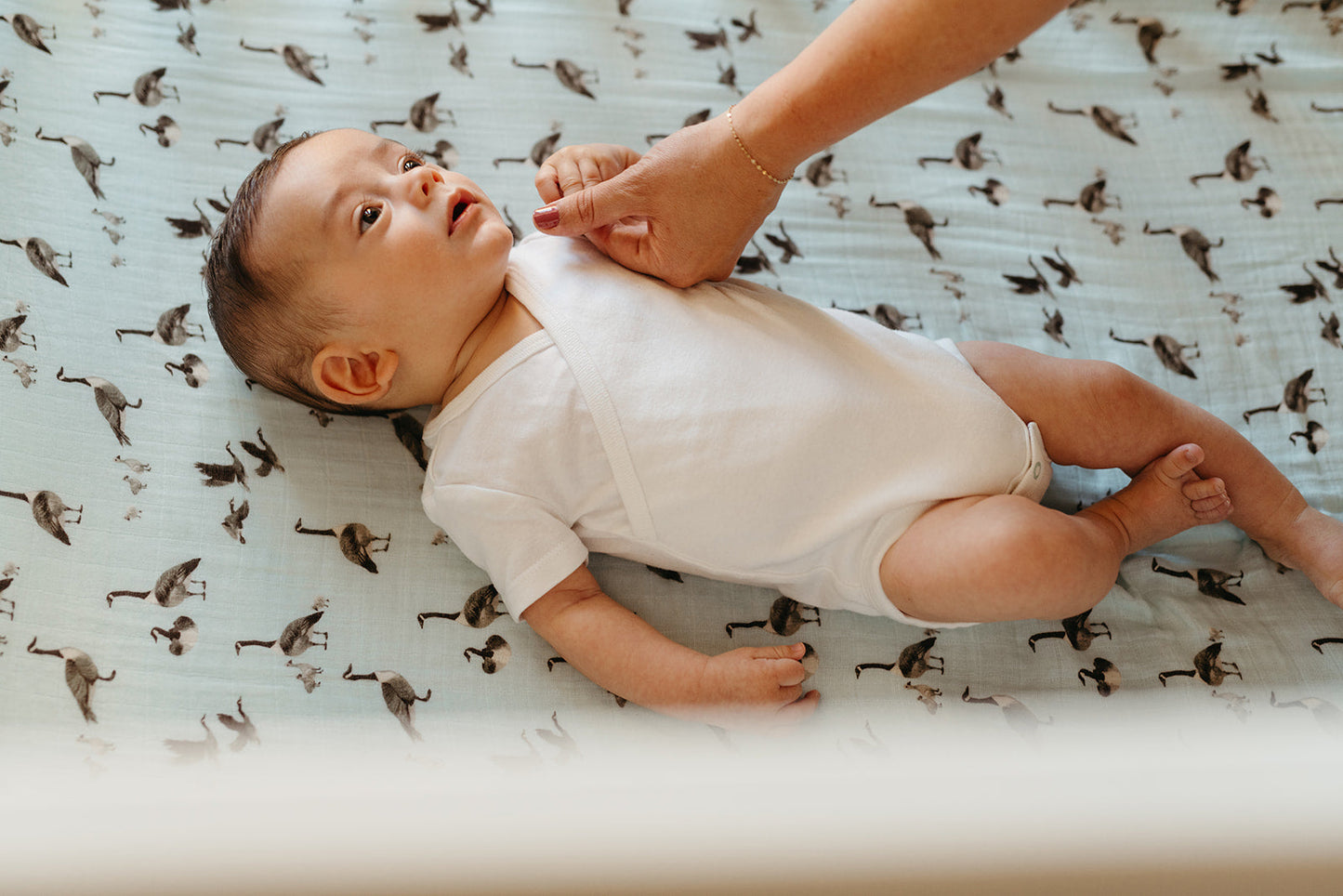 Goose Bamboo Crib Sheet