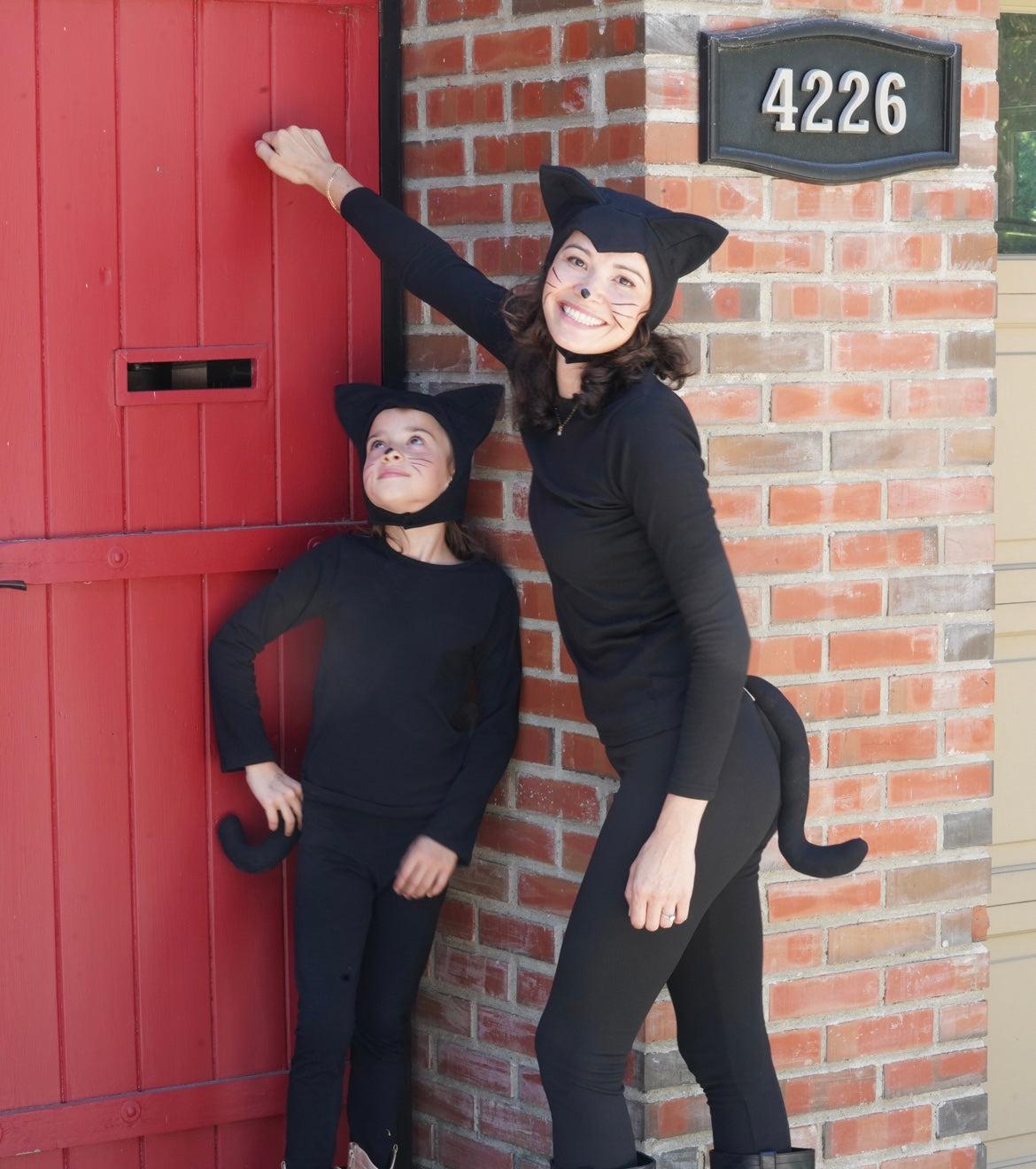 Adult Cat Hat and Tail