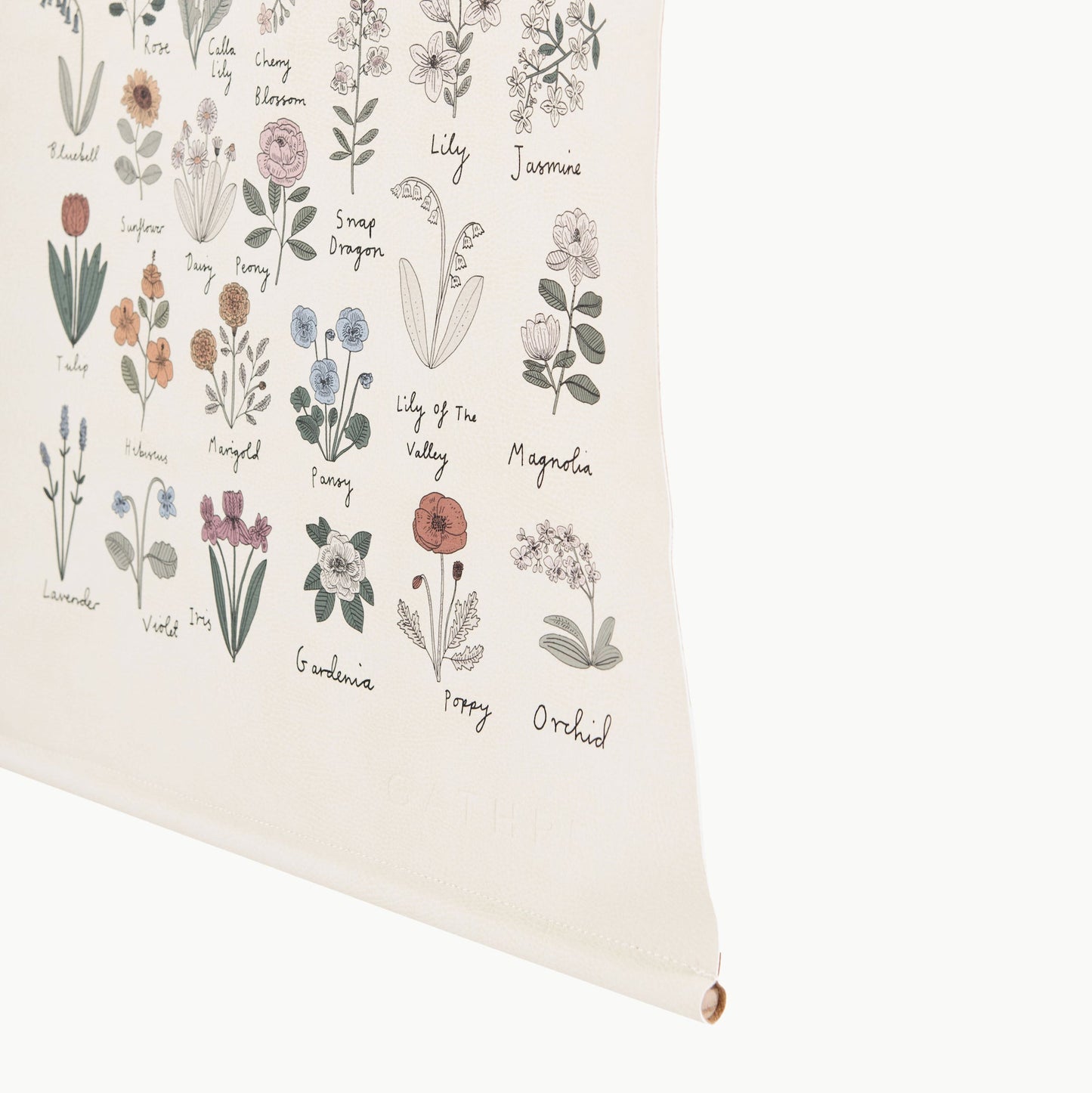 Educational Tapestry