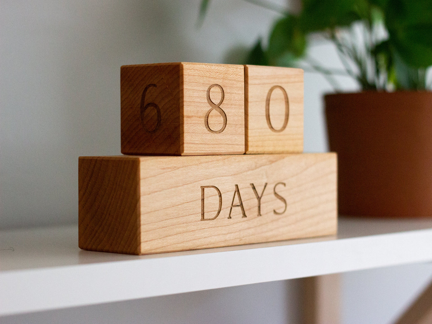Modern Wooden Milestone Blocks