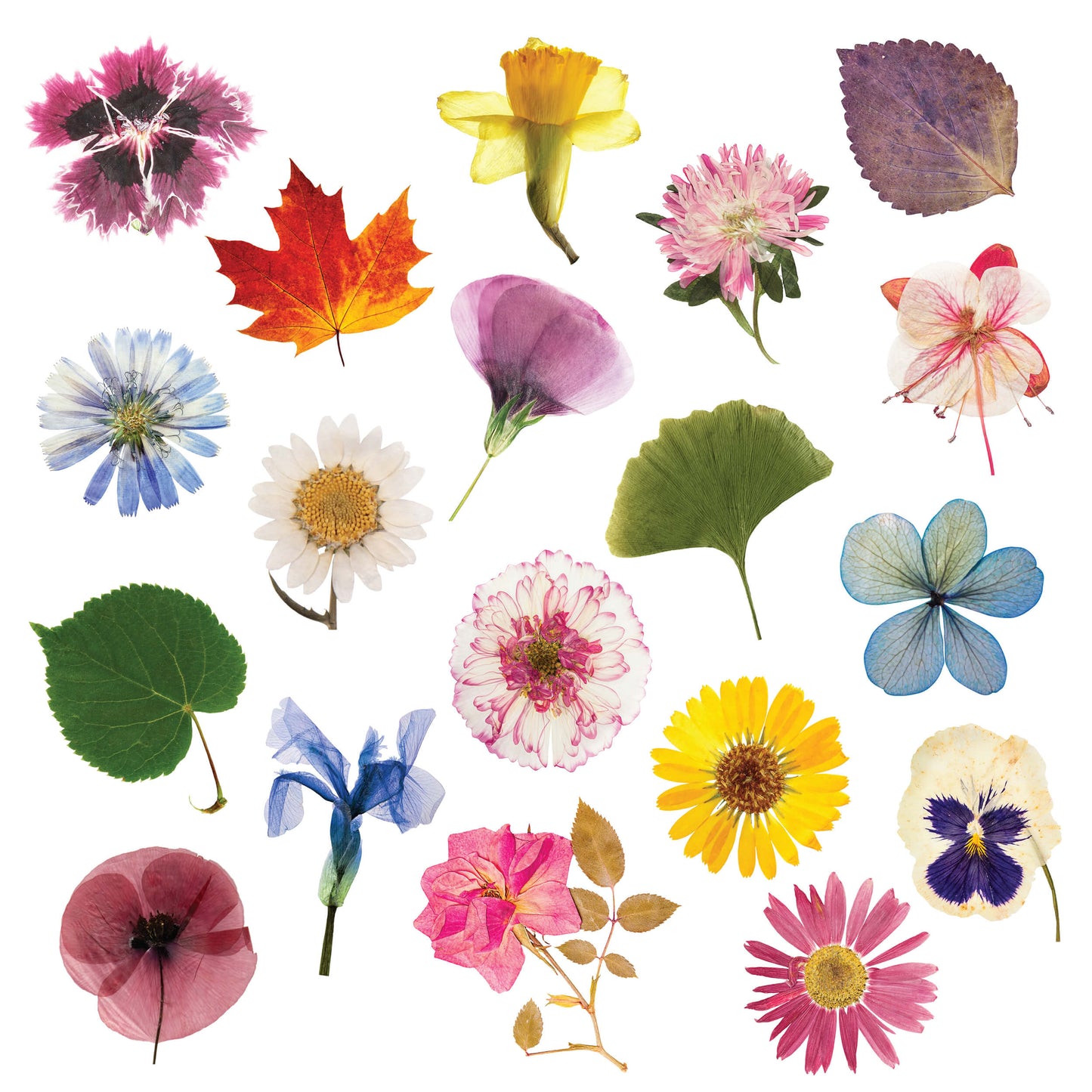 Flower Press DIY – Includes All Parts