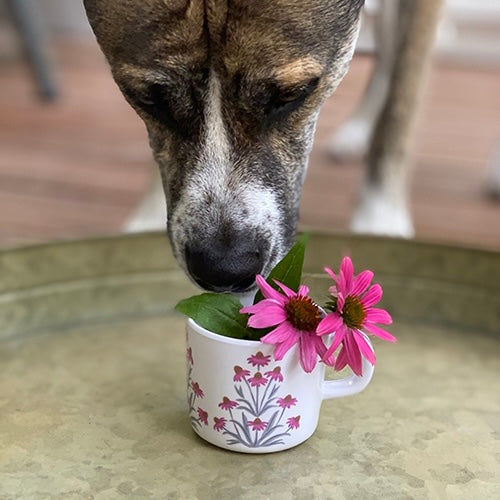 Coneflower Sippy Cup