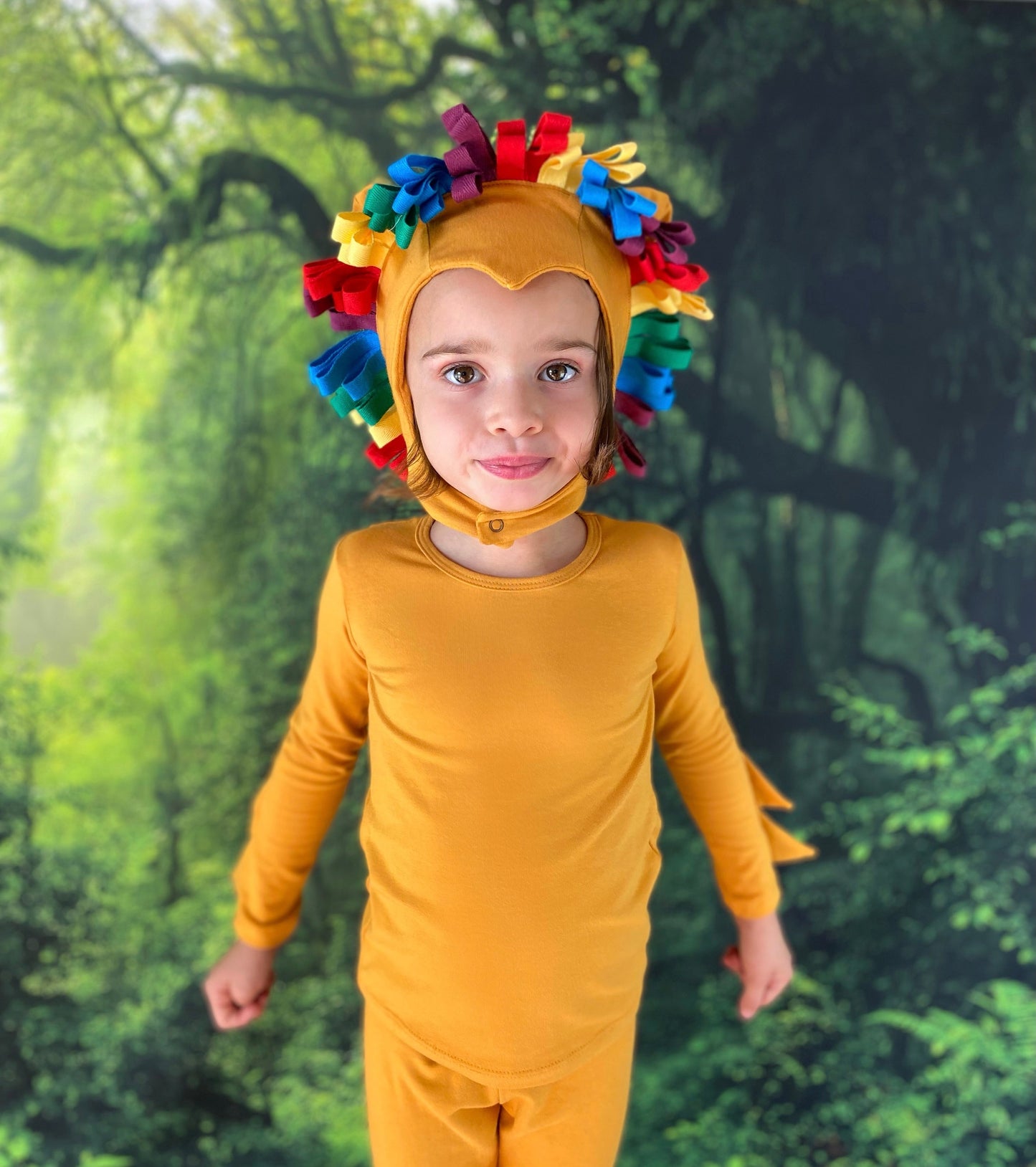 Rainbow Lion Costume