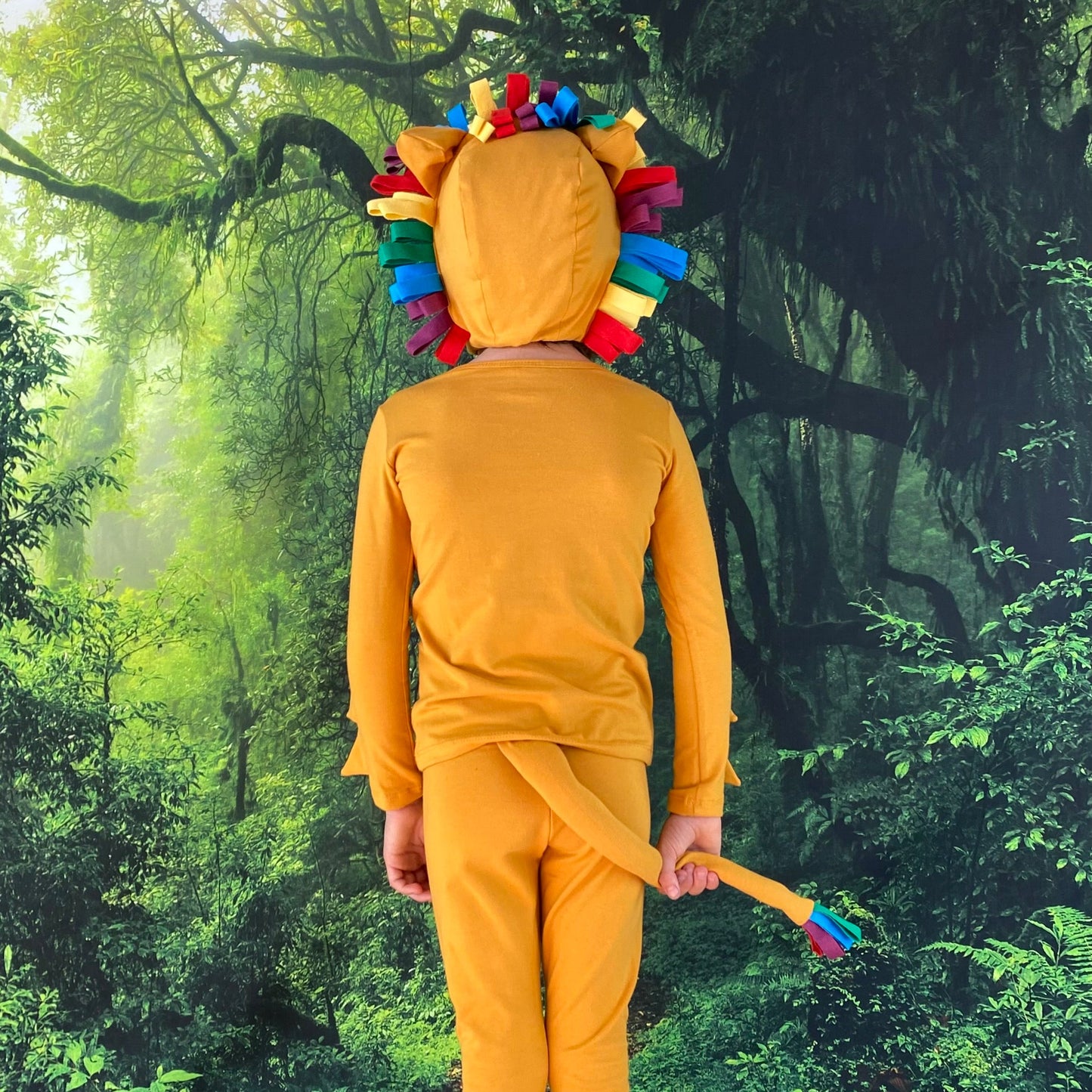 Rainbow Lion Costume