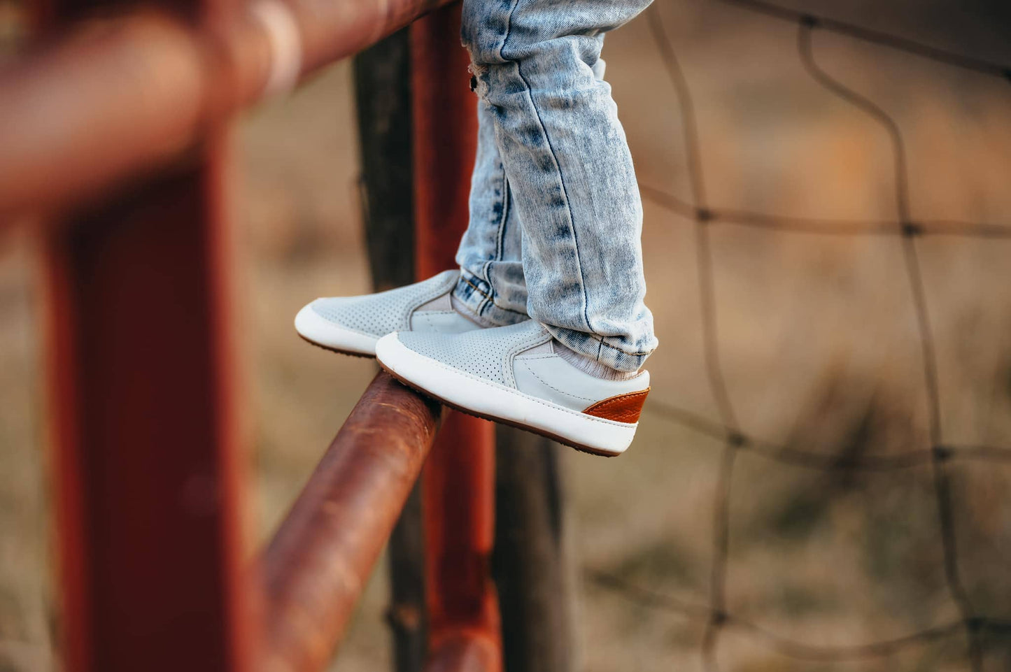 Gray Quinn Discontinued