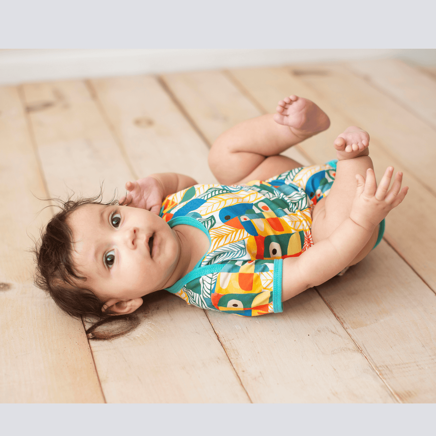 Wren baby body | Parrots