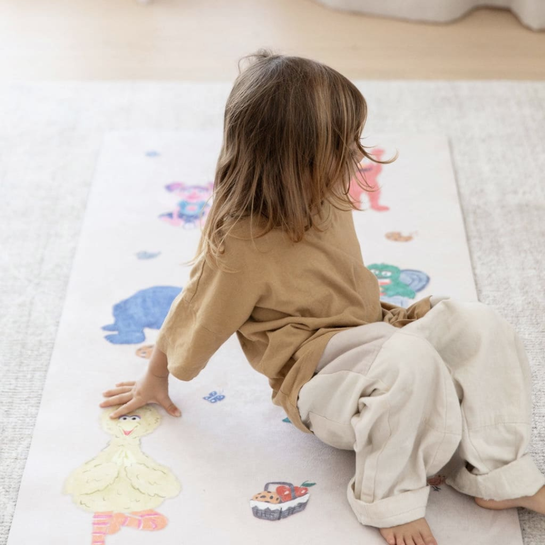 Sesame Street Adventure Bundle