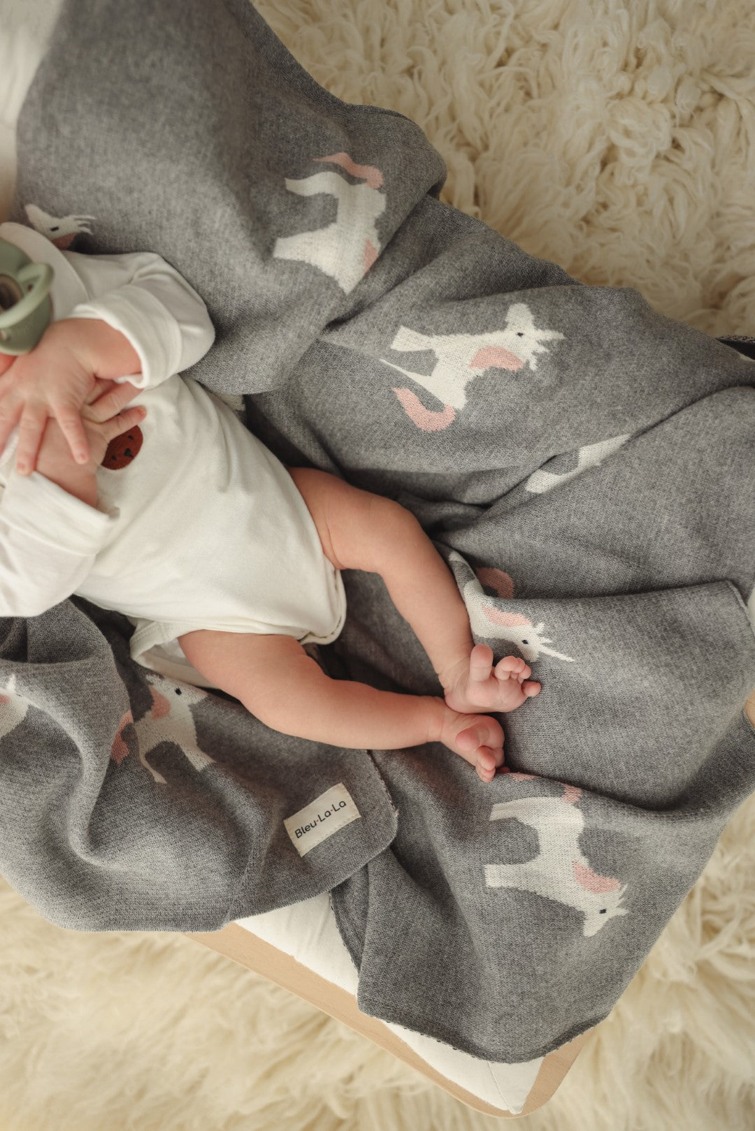 Whimsy Collection - Luxury 100% Cotton Knit Swaddle Baby Blanket
