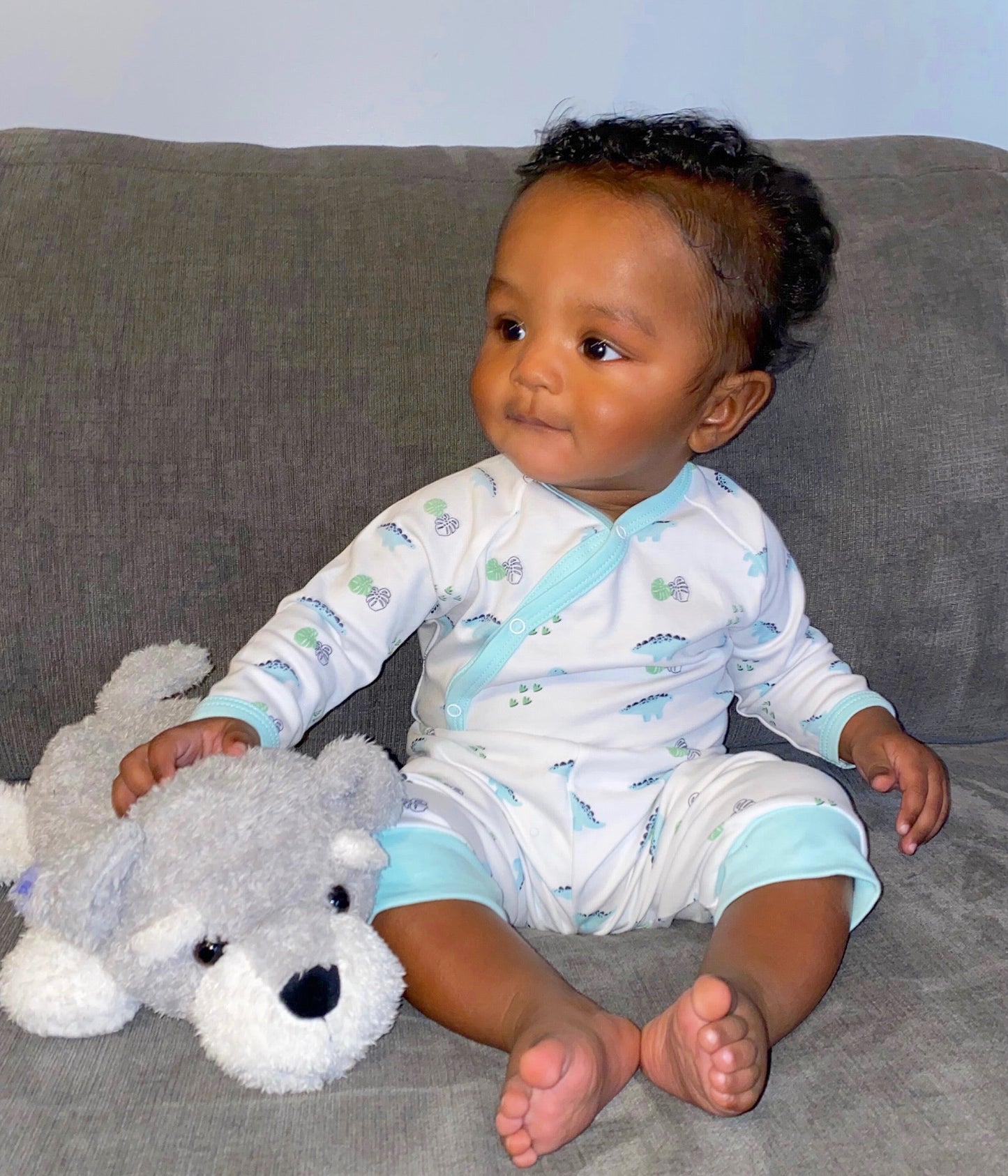 Long Sleeve Dino Print Onesie