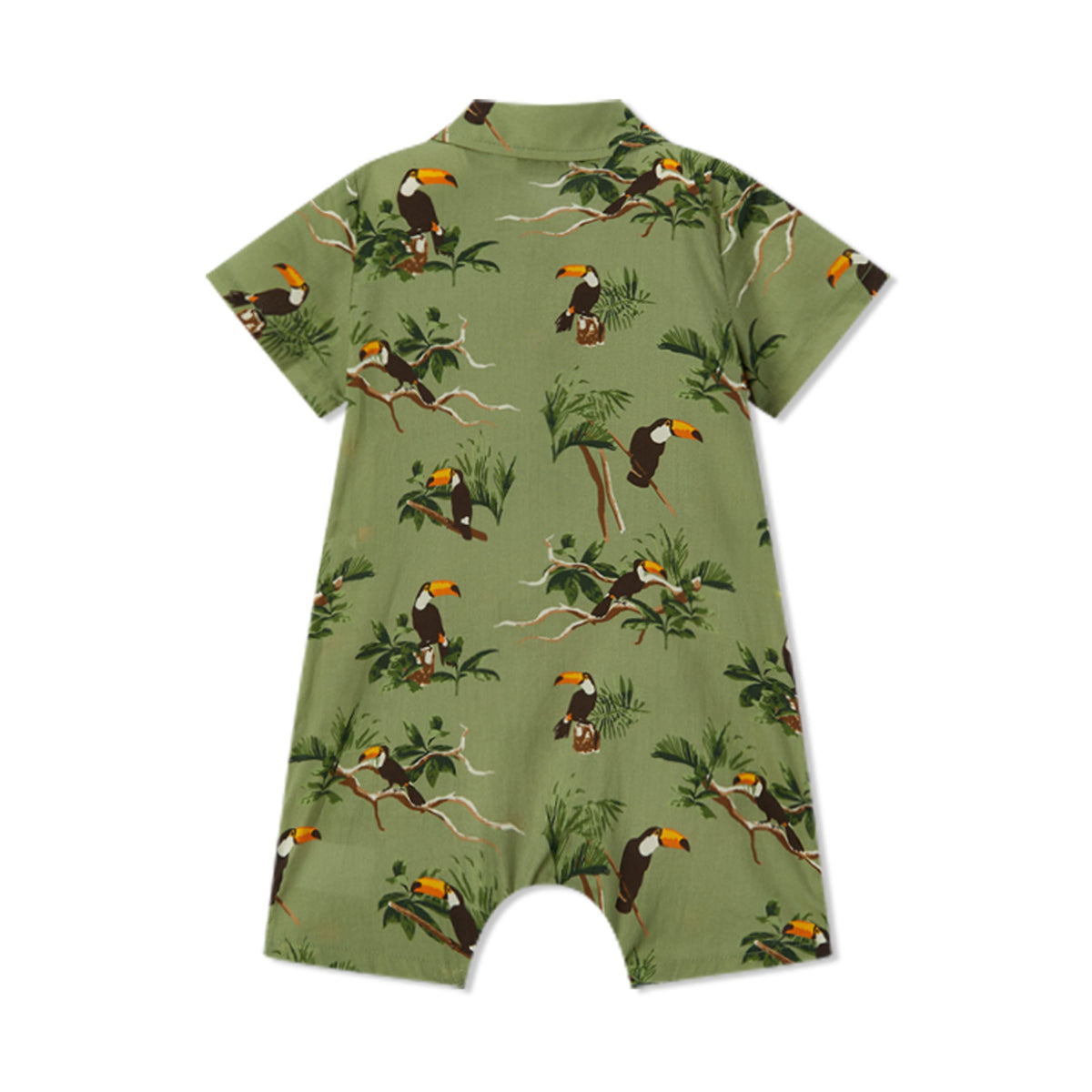 Toucan Collared Shortall