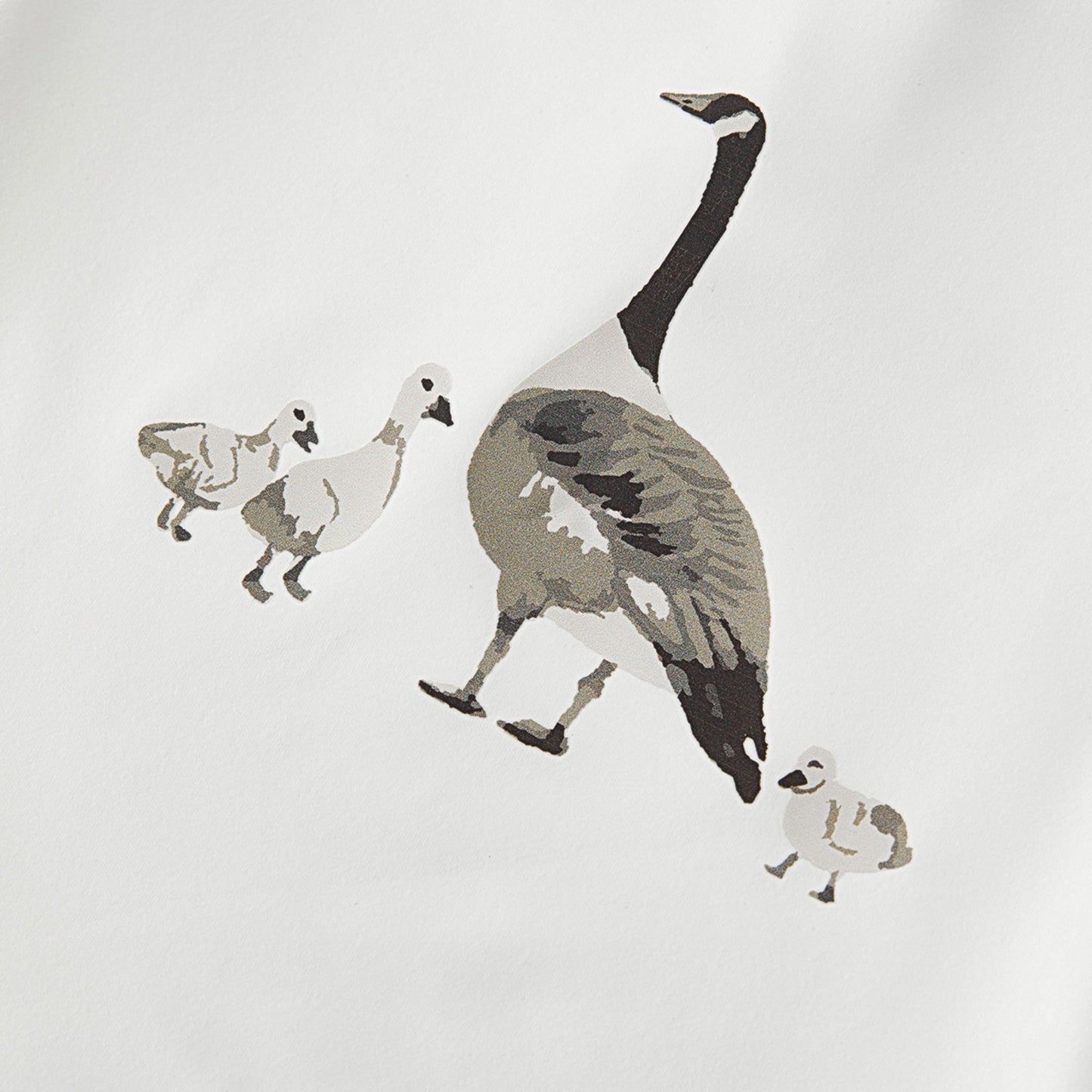 Swimming Goose Long Sleeve Shirt & Trunks Swim Set