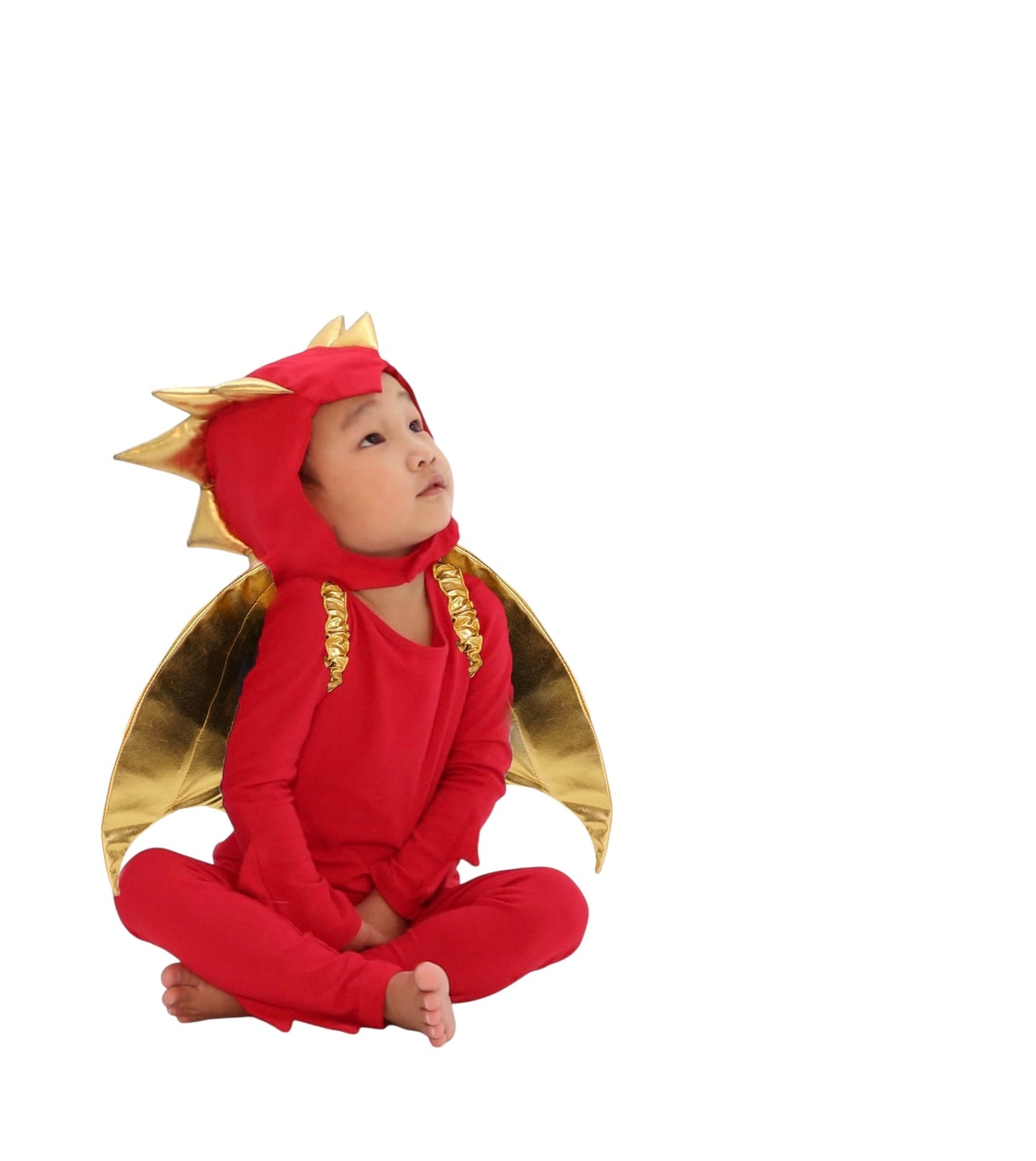 Sunfire Red Dragon with Gold Wings Costume for Kids – Handmade Fantasy Halloween Costume