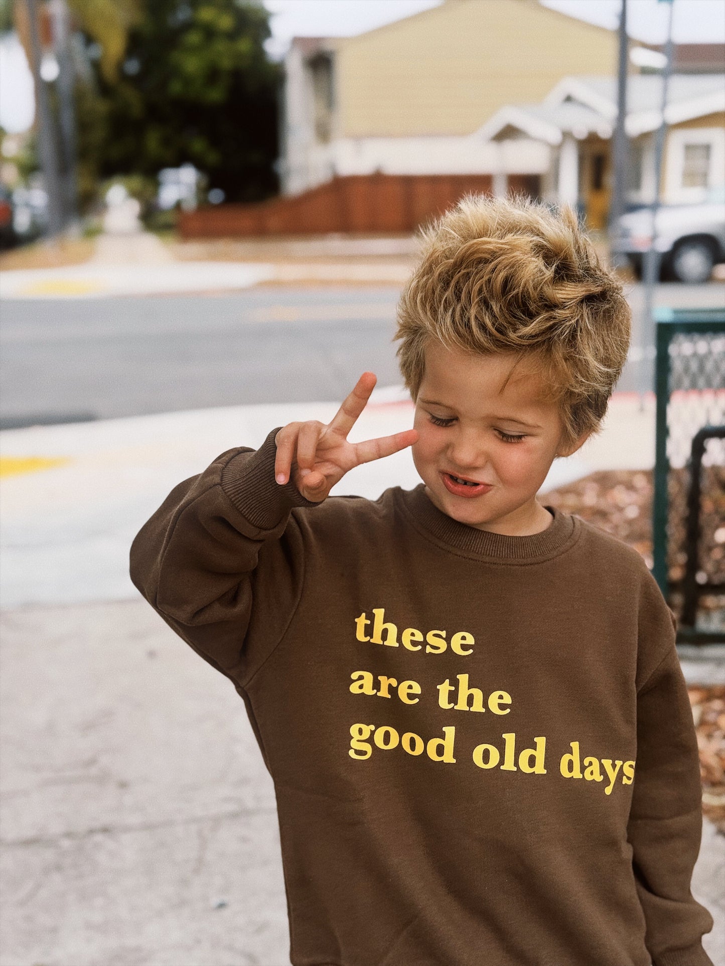 Good Old Days Pullover | Chocolate