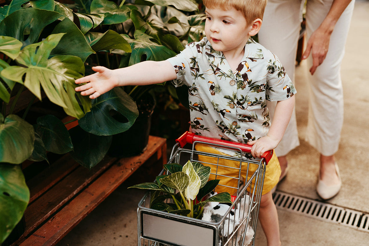 Blue Sky Toucan Linen Button-Up Shirt & Shorts Set