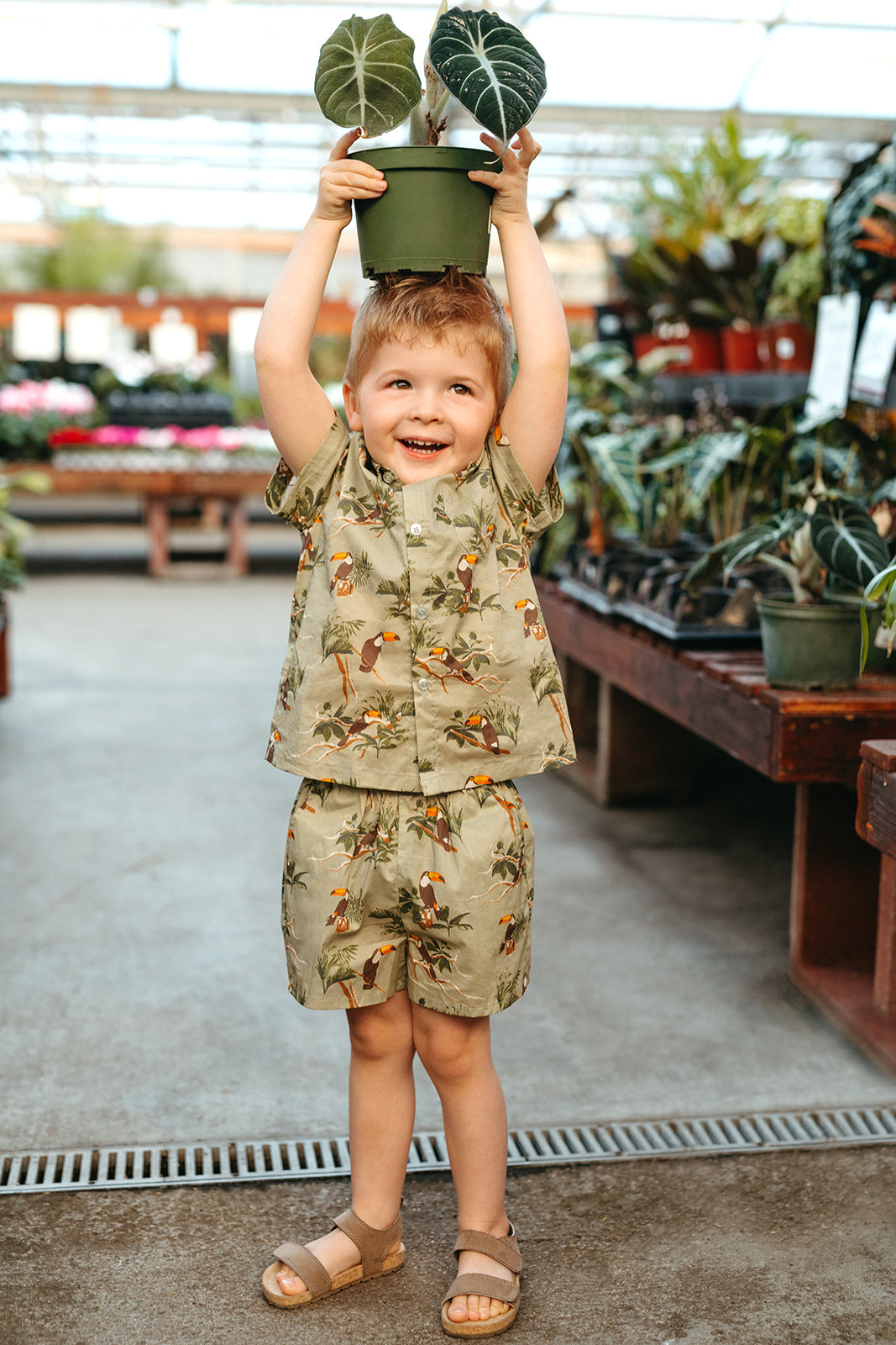Toucan Collar Button-Up Shirt & Shorts Set