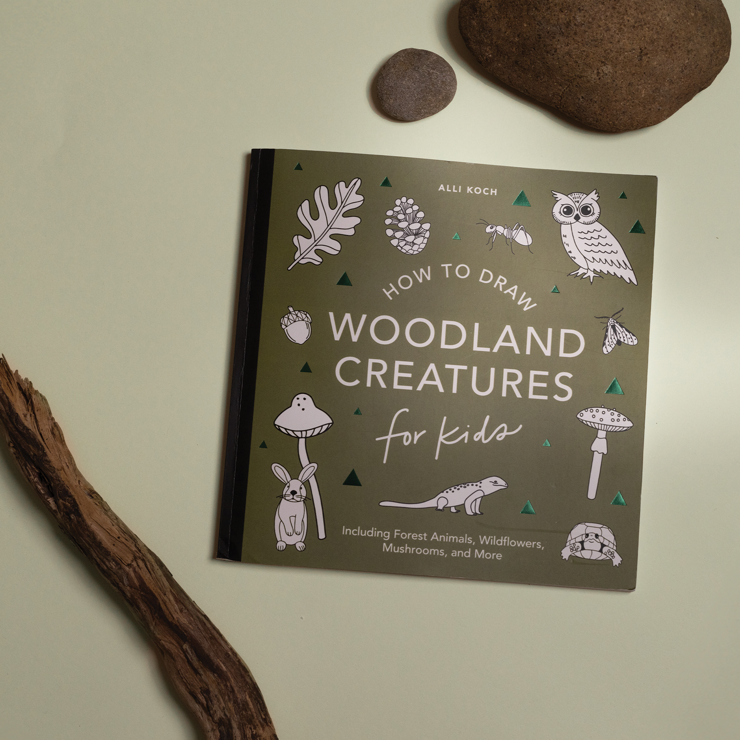 Mushrooms & Woodland Creatures: How to Draw Books for Kids with Woodland Creatures, Bugs, Plants, and Fungi