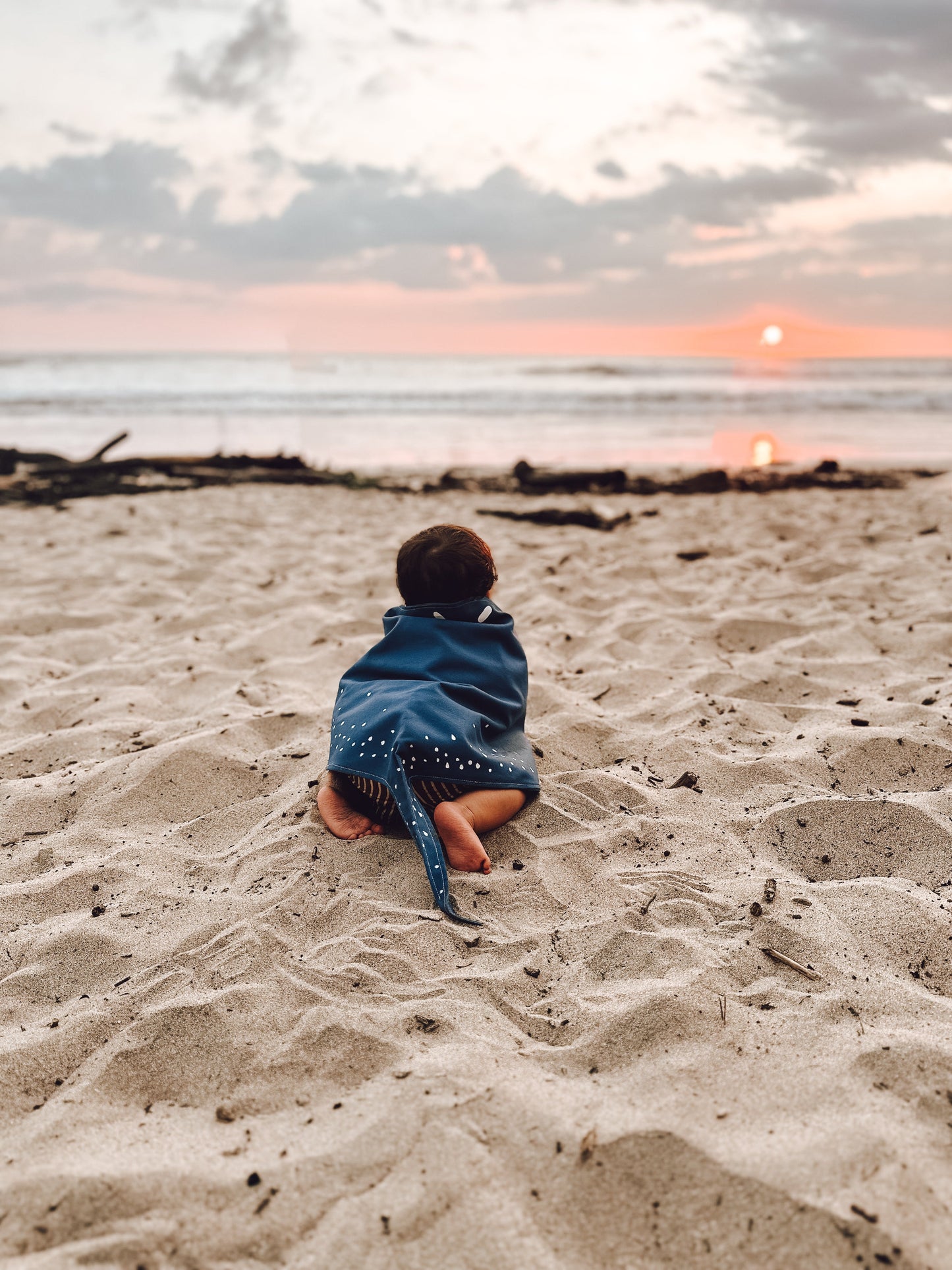 Stingray Costume Wings