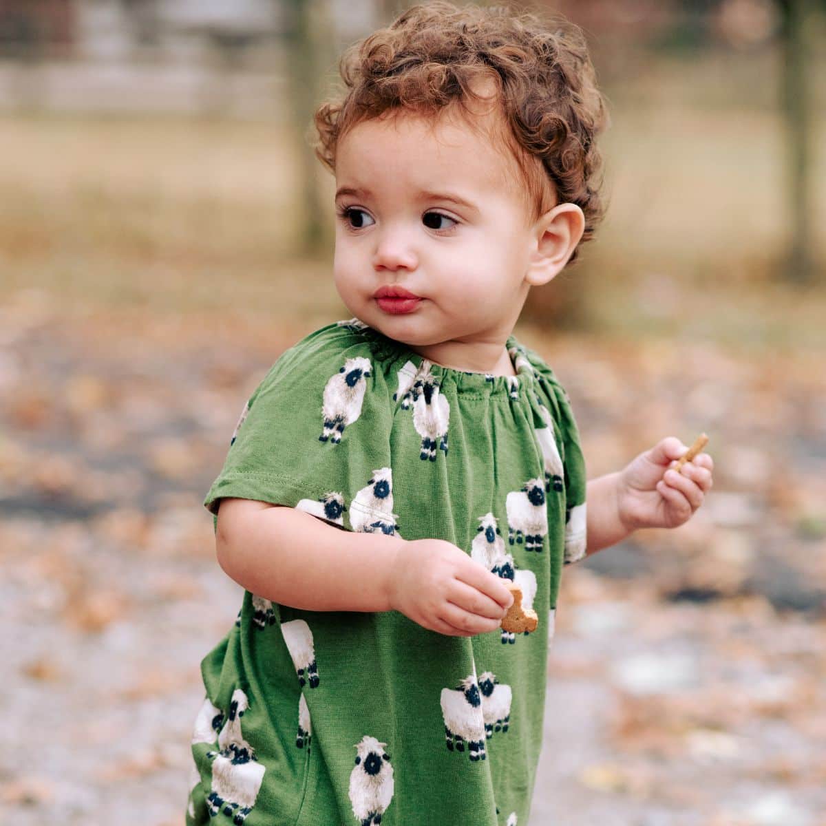 Valais Sheep Bamboo Dress & Bloomer Set