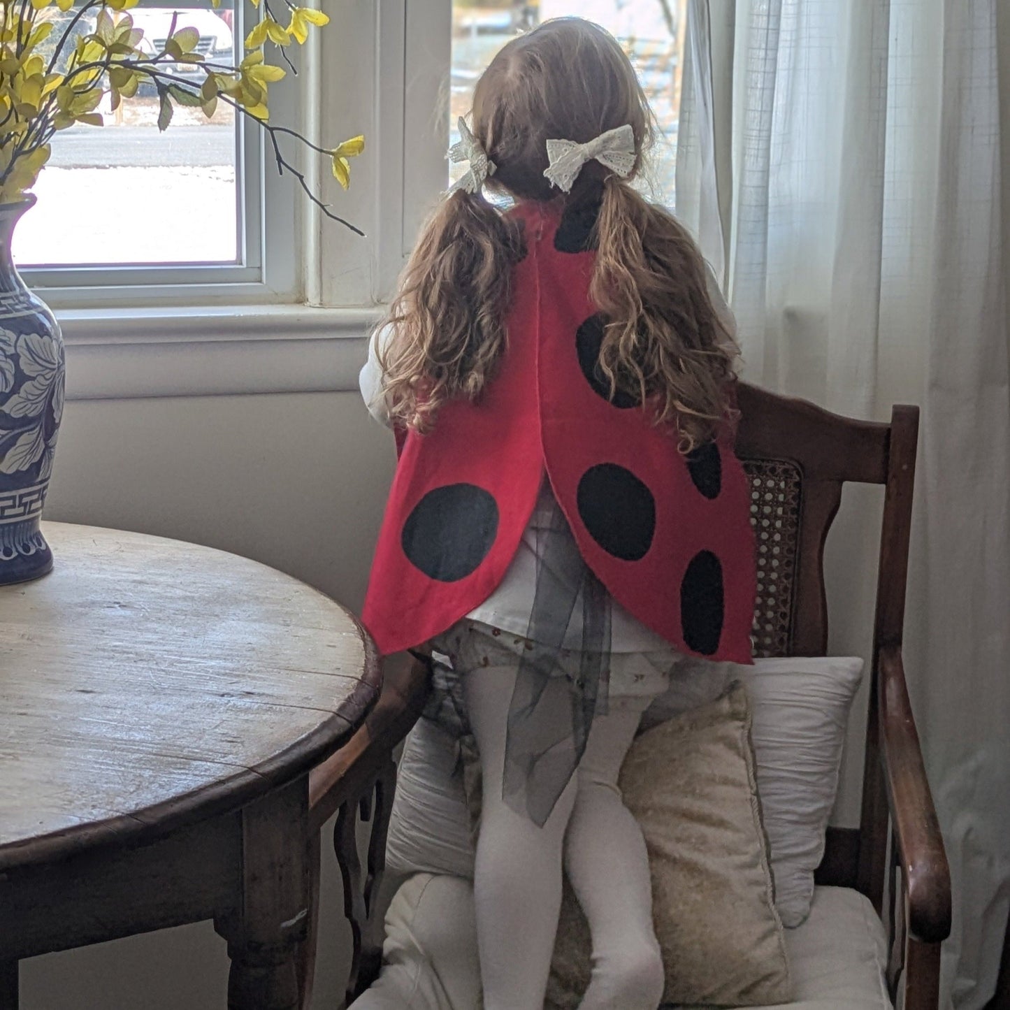 Ladybug Wings Costume