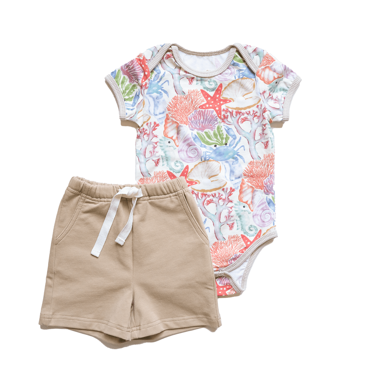 Wren baby body | Ocean Puzzle