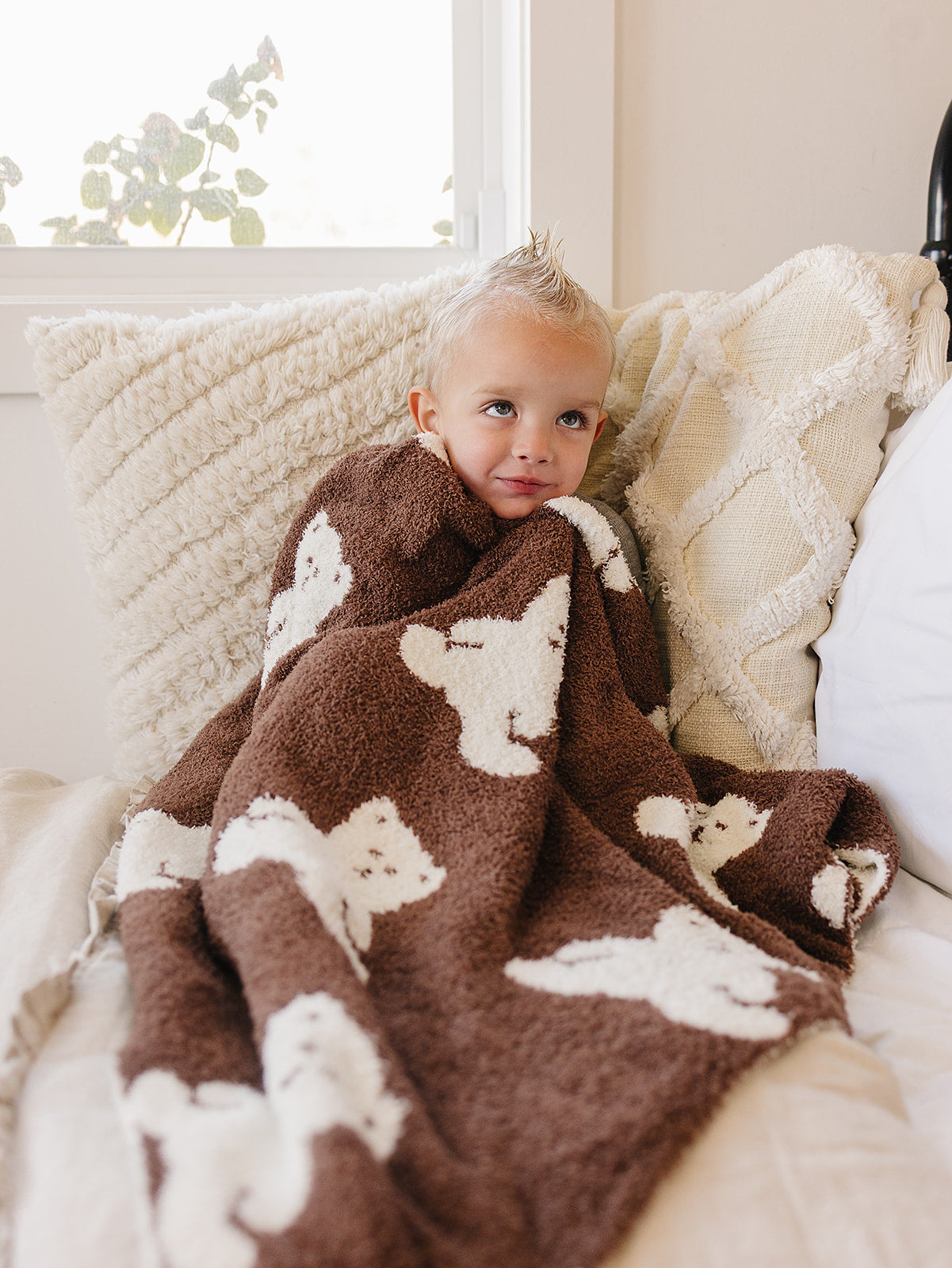 Teddy Bear Plush Blanket