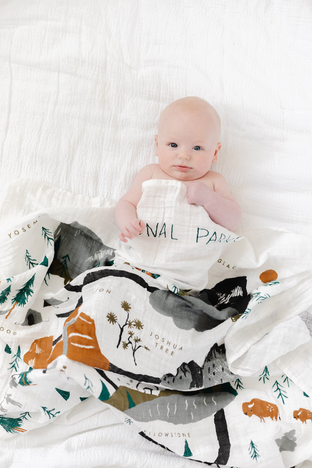 National Parks Swaddle