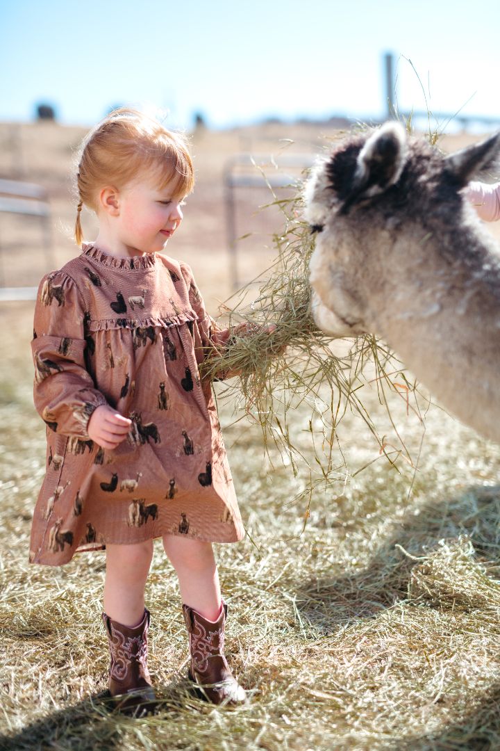 Alpaca Corduroy Dress & Bloomer Set