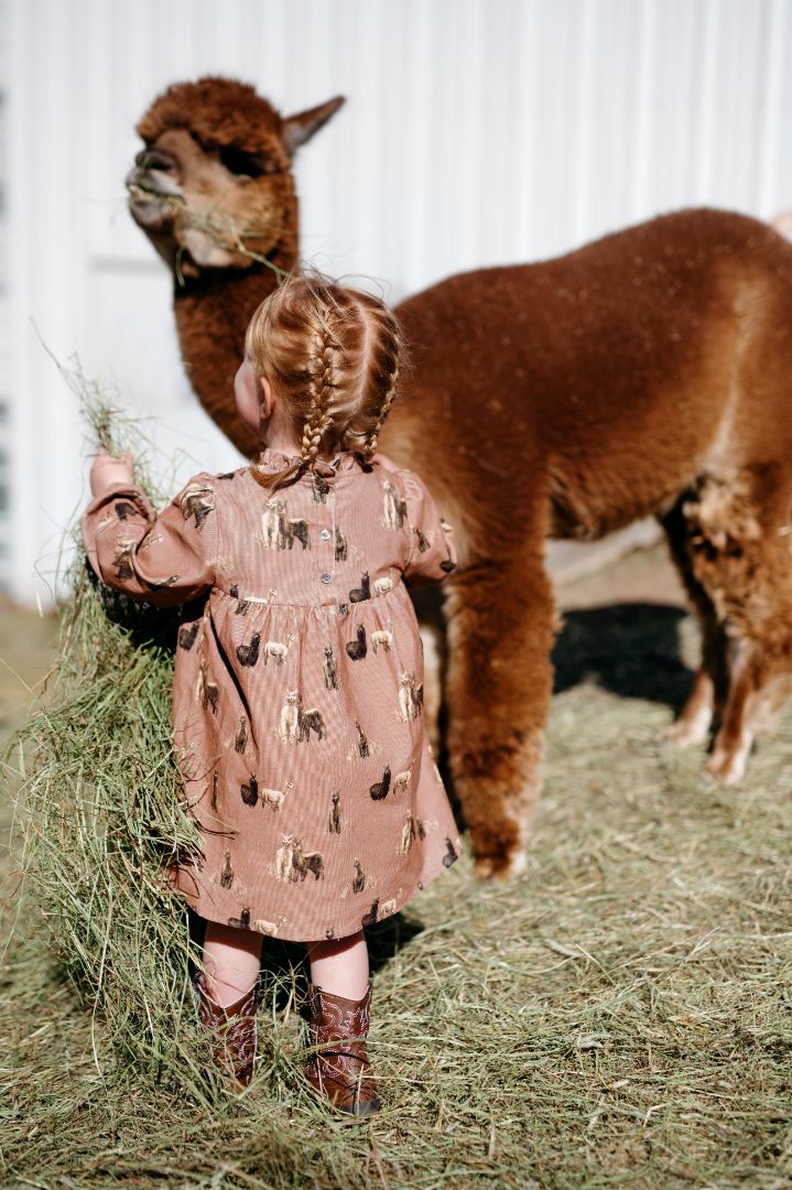 Alpaca Corduroy Dress & Bloomer Set