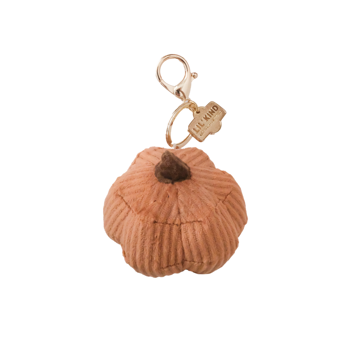 Cinderella CHARM