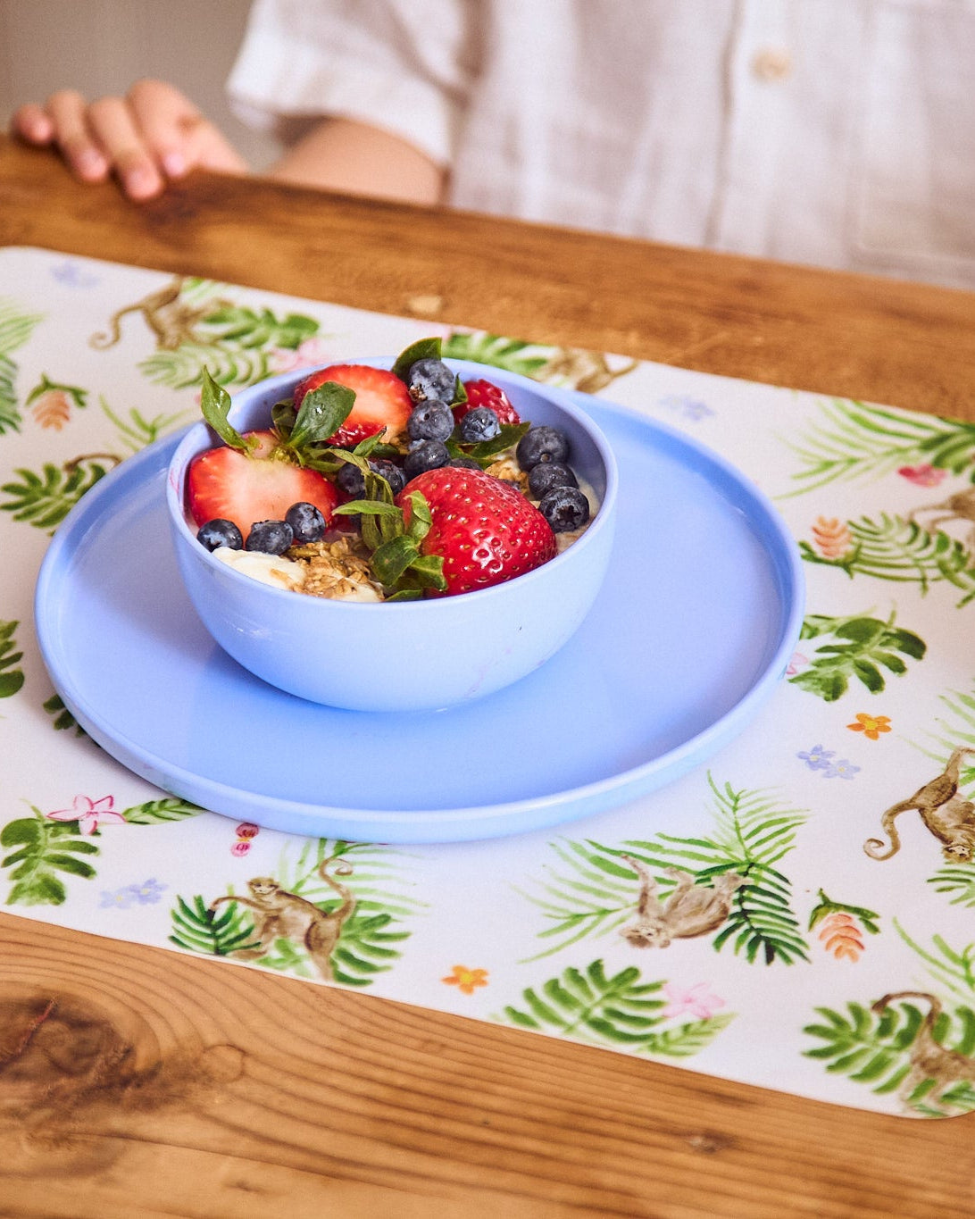 4 Plate Set | Blue