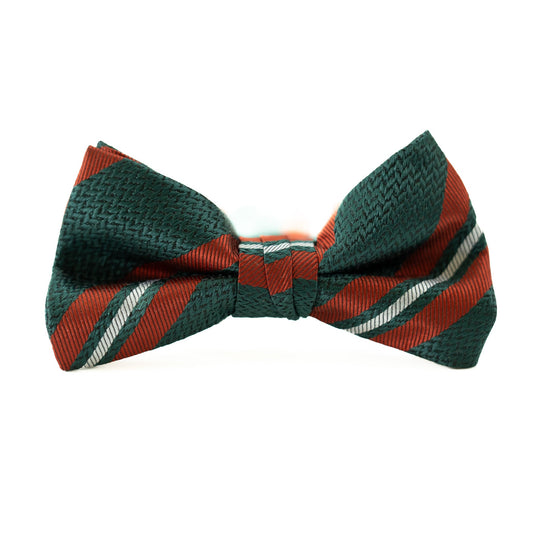 Ebenezer Stripe - Boys Bow Tie