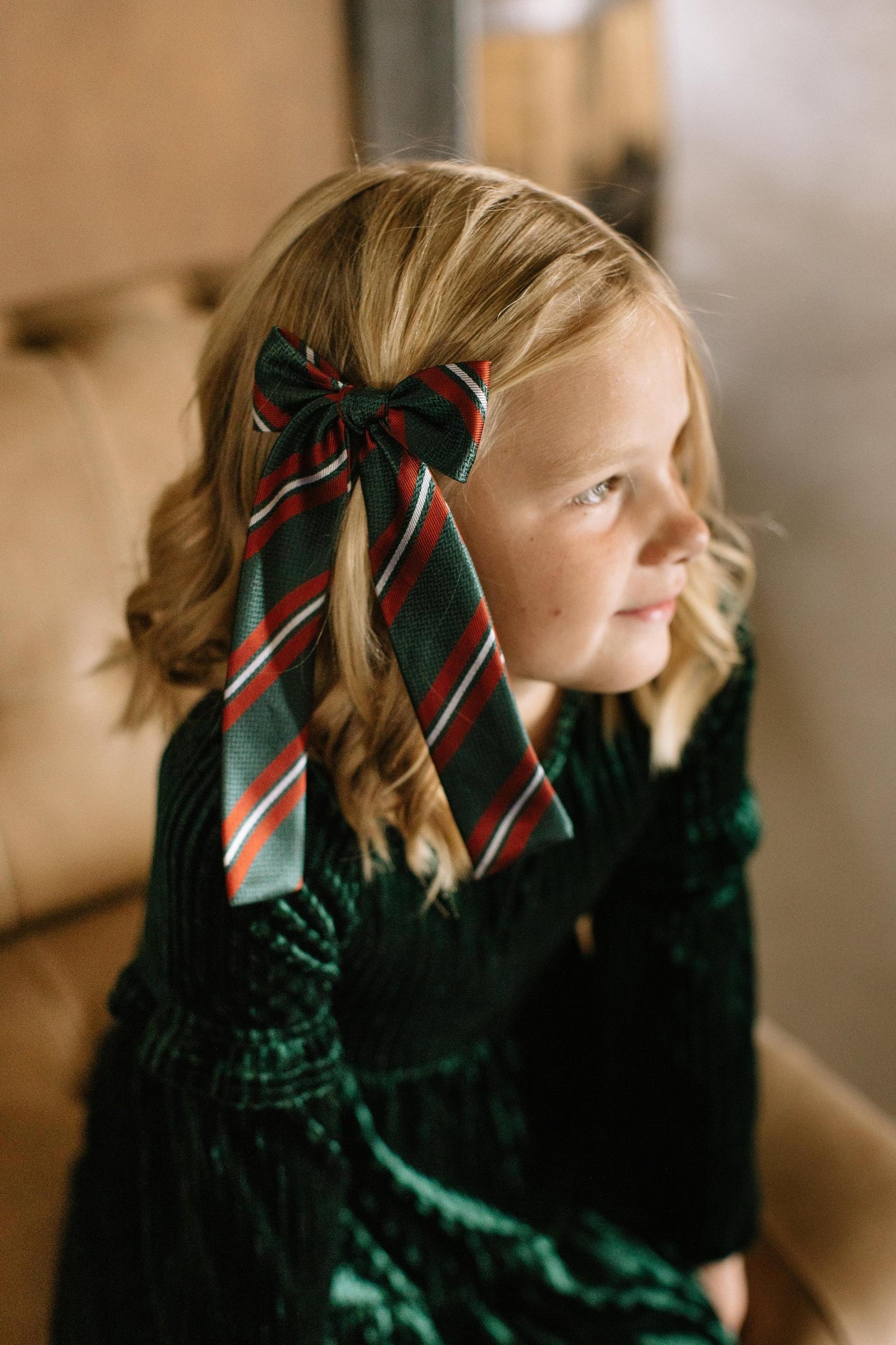 Ebenezer Stripe - Lady Hair Bow