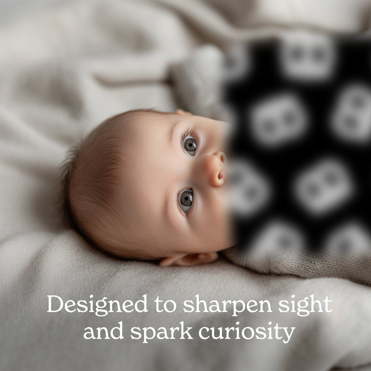 Gourmet for Baby