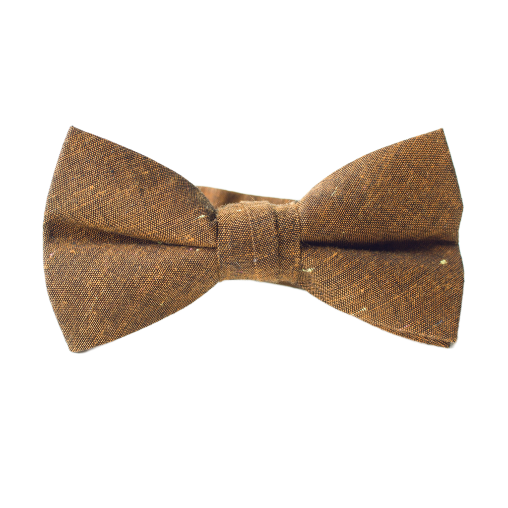Lucky Penny Boys Bow Tie