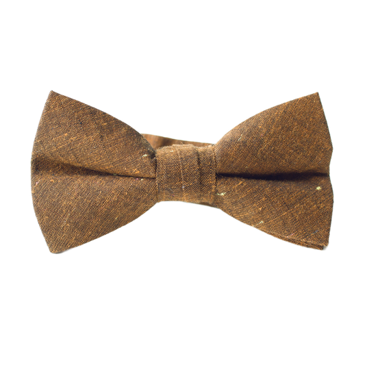 Lucky Penny Boys Bow Tie