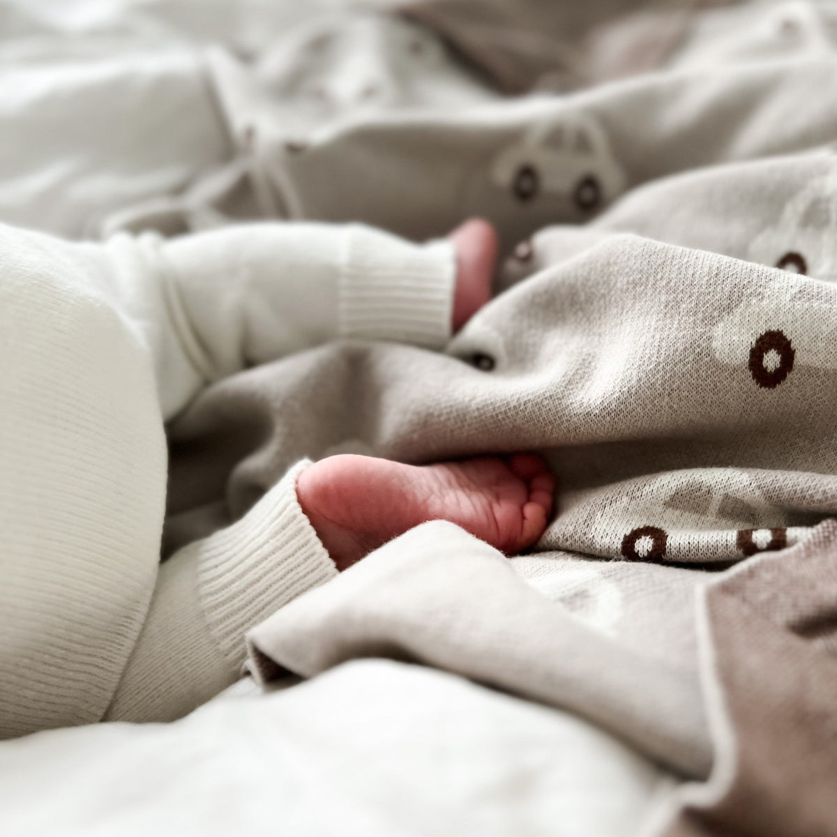 Whimsy Collection - Luxury 100% Cotton Knit Swaddle Baby Blanket
