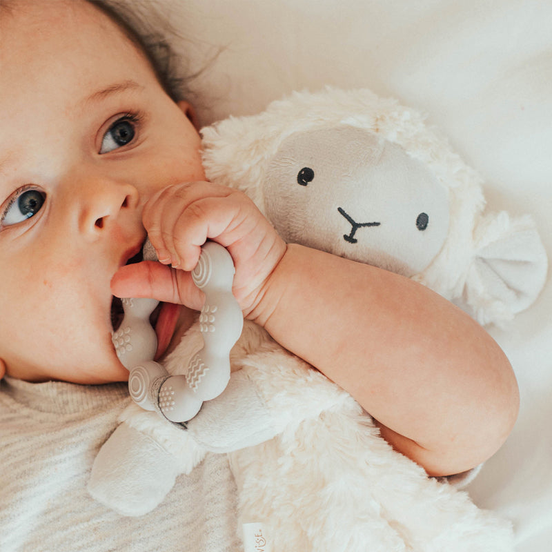 Lamb Love