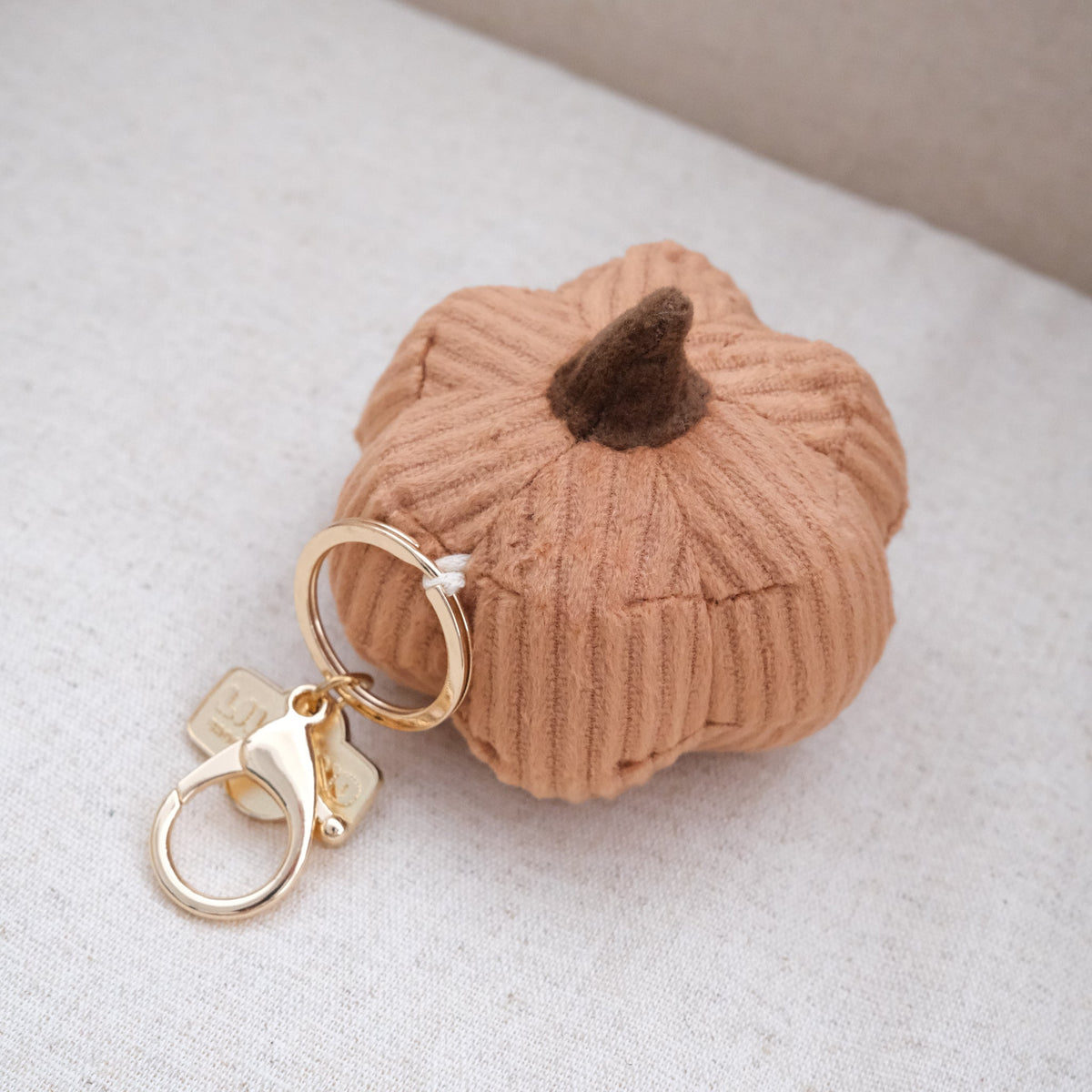 Cinderella CHARM